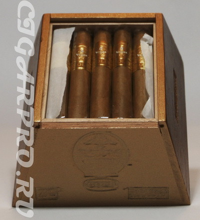 5 vegas gold robusto